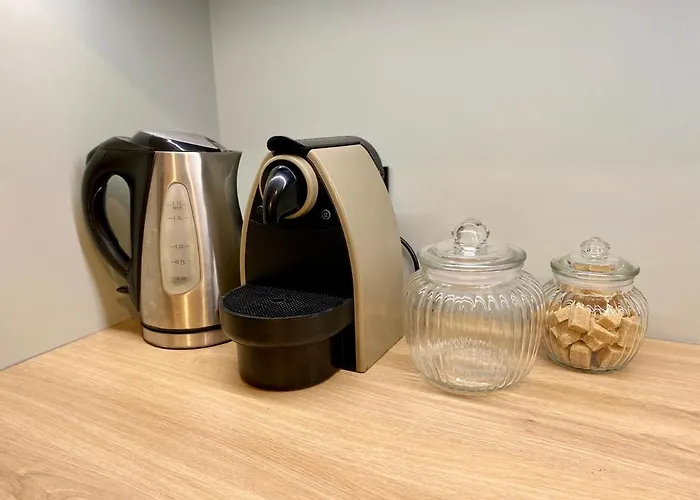 Apartment La Bulle Stanislas Nancy